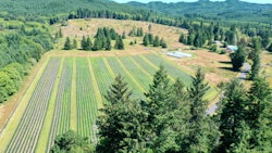 Aerial view of Tweedle Farms.