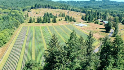Aerial view of Tweedle Farms.