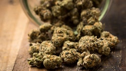 Hemp Grower Top Web Photo Template 2022 05 31 T125245351