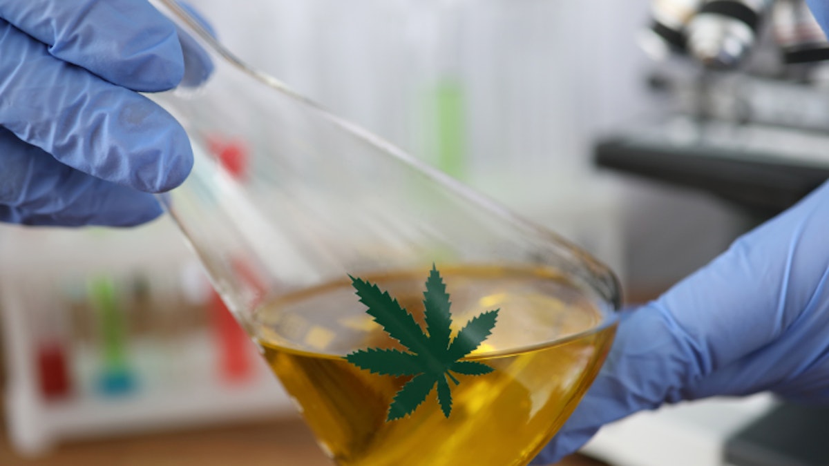Leafreport Study Unveils Lack of Purity and Potency Testing by CBD Brands |  Cannabis Business Times