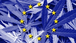 European Union Flag