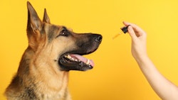 Hemp Grower Top Web Photo Template68