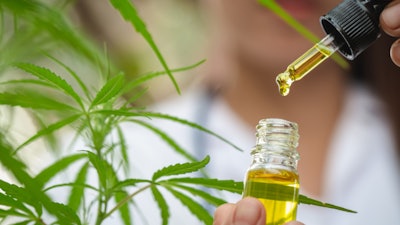 Hemp Grower Top Web Photo Template80