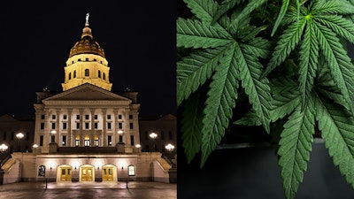 Kansas Cap Canna Merged Adobe Stock326873823