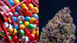 Lottery Cannamerged Adobe Stock2966882631