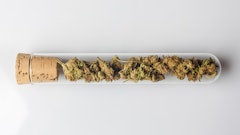 May Tomorrow Cannabis