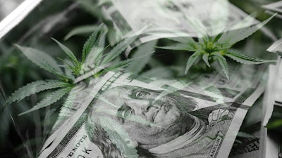 Canna Money Adobe Stock241929797