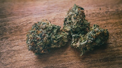 Canna Nugs Adobe Stock199989517