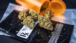 Canna Rx Adobe Stock236529902