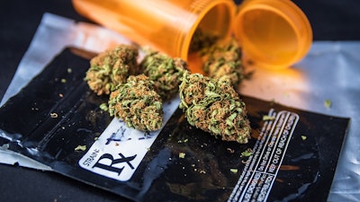 Canna Rx Adobe Stock236529902