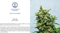 Executive Ordermerged