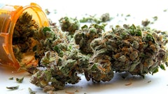 Medical Marijuanain Rx Bottle Adobe Stock Credit Atomazul Resized
