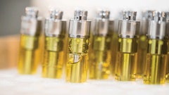 Tomorrow In Cannabis