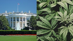 White House Adobe Stock226681101