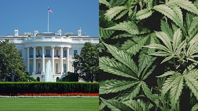White House Adobe Stock226681101