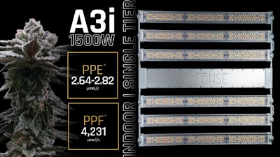 A3i Product Round Up Fmt