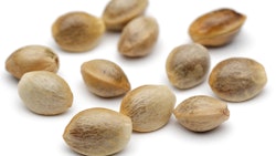 Adobe Stock 194693076 Fmt