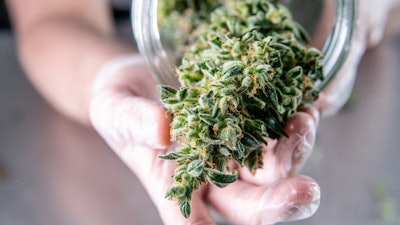 Buds