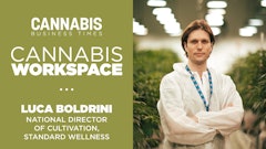 Cannabis Workspace Boldrini
