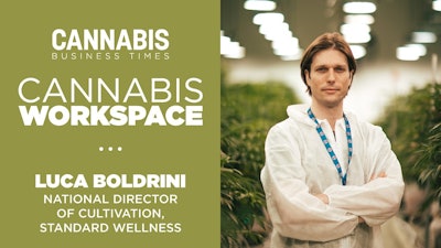 Cannabis Workspace Boldrini