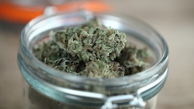 Canna Jar Adobe Stock250996334