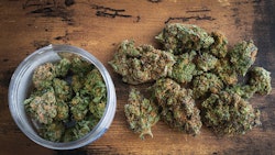 Canna Jar Table Adobe Stock410295846