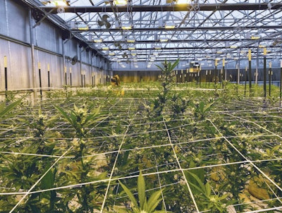 Cbt June Hort How To 1 Kayla Matherne New Fmt