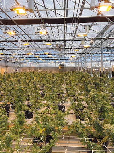 Cbt June Hort How To 3 Kayla Matherne Fmt