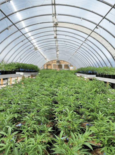 Cbt June Hort How To 4 Kayla Matherne Fmt