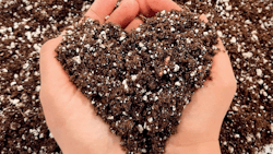 Cbt Photo Premier Hpo Terreau Main 6x4 Fmt