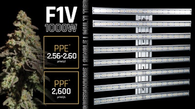F1 V Product Round Up Fmt