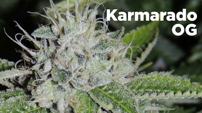 Karmarado