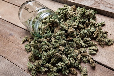 Marijuana Bud Spilling Outof Jar Adobe Stock Credit Aleksanderkamasi Resized