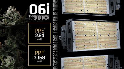 O6i Product Round Up Fmt