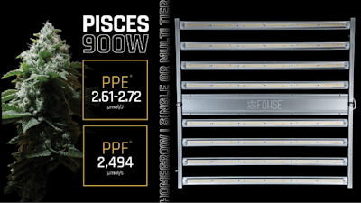 Pisces Product Round Up Fmt1