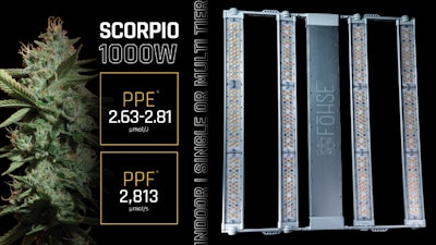 Scorpio Product Round Up Fmt