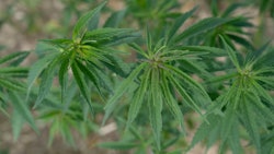 Untitleddesign 2022 07 18 T161852373