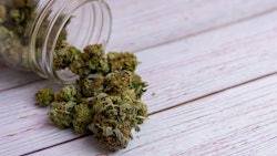 Adobe Stock Flower Jar