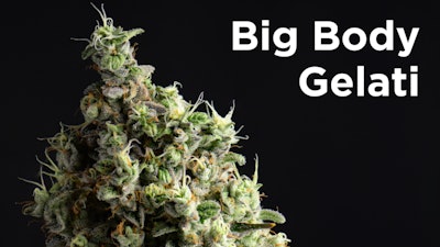 Bbg