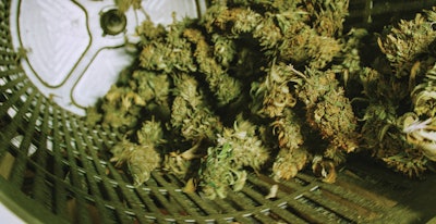 I Stock 1204221848 Fmt