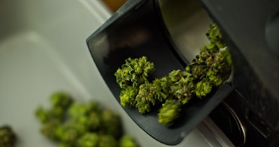 I Stock 1342145384 Fmt