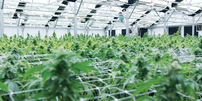 Bald Peak Farm Interior Fmt