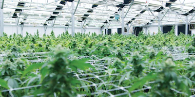 Bald Peak Farm Interior Fmt