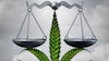 Cannabis Lawsuit Adobe Stock132006876