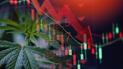 Canna Down Trend Adobe Stock435526990