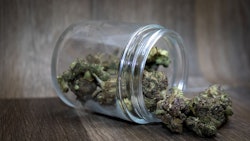 Canna Jar Adobe Stock459742937