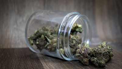Canna Jar Adobe Stock459742937
