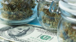 Canna Money Adobe Stock371005338