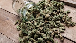 Marijuana Bud Spilling Outof Jar Adobe Stock Credit Aleksanderkamasi Resized