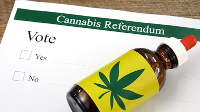 Referendum Adobe Stock386123824